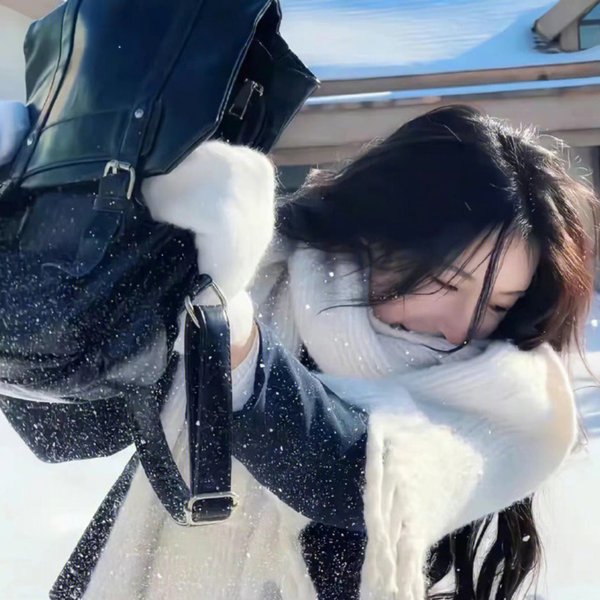五女闹京城